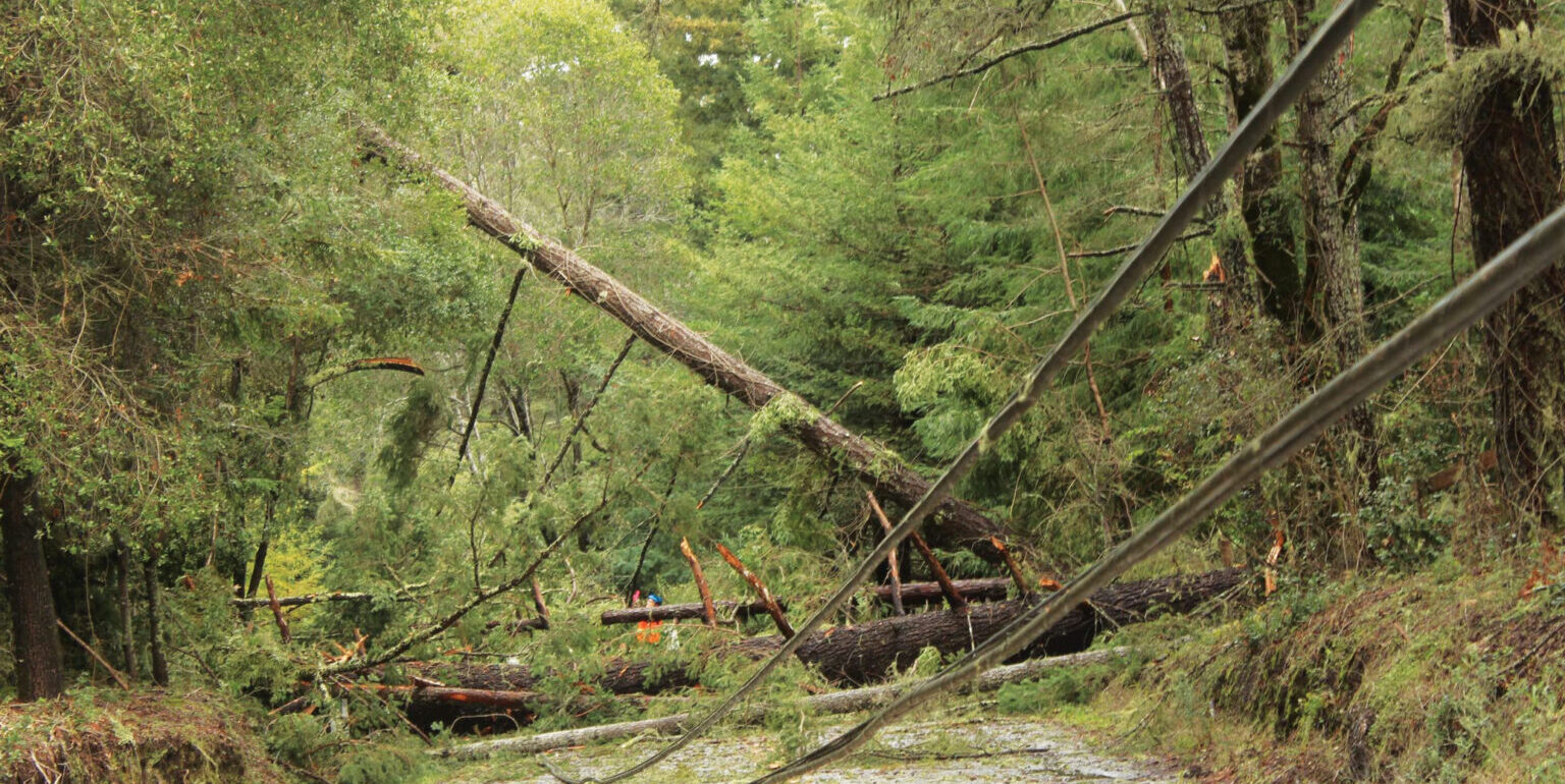 Smith Grade blockage