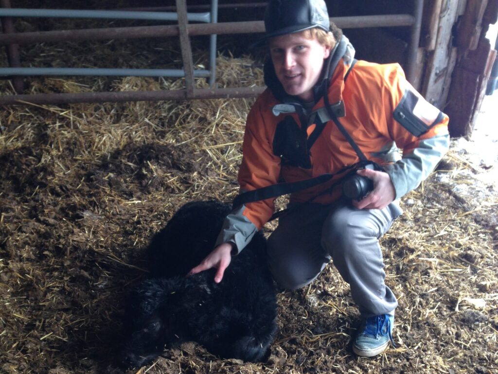 with calf baby calf
